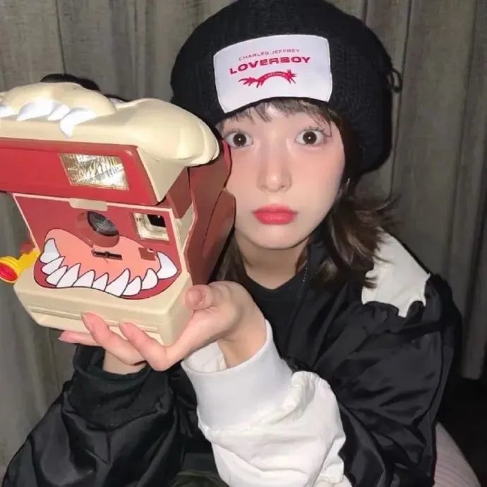 忍冬玫瑰